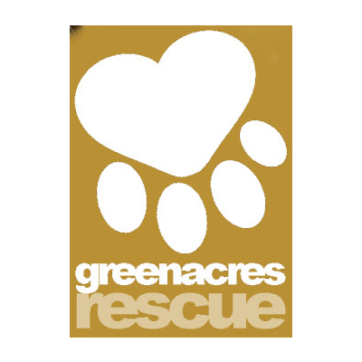 Green acres 2024 rescue dogs